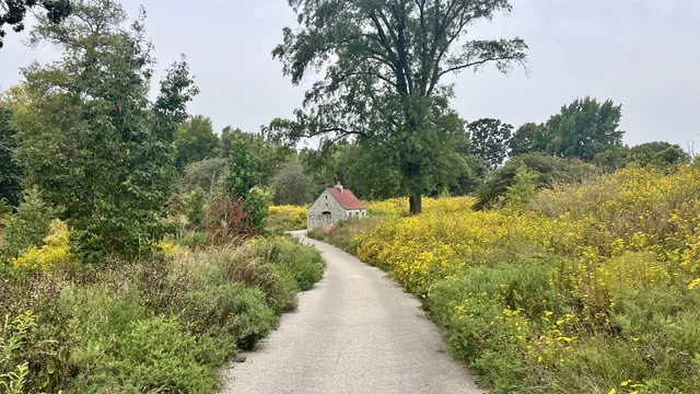 Pathway leading to a quaint countryside house.